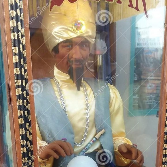 Meet your Posher, Eli - Picture 1 of 1